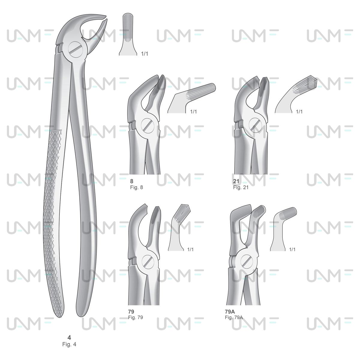Extraction Forceps,English Pattern