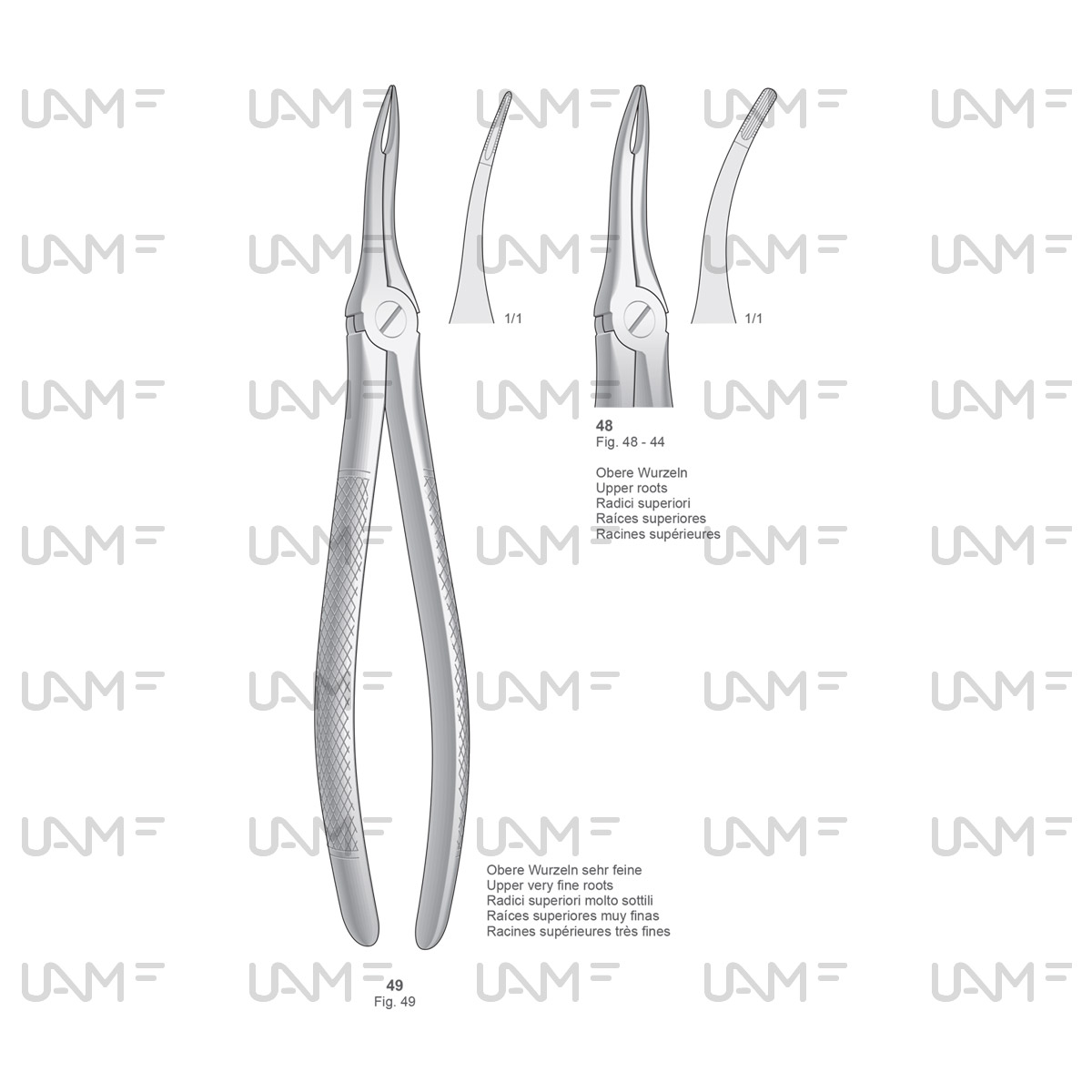 Extraction Forceps,English Pattern