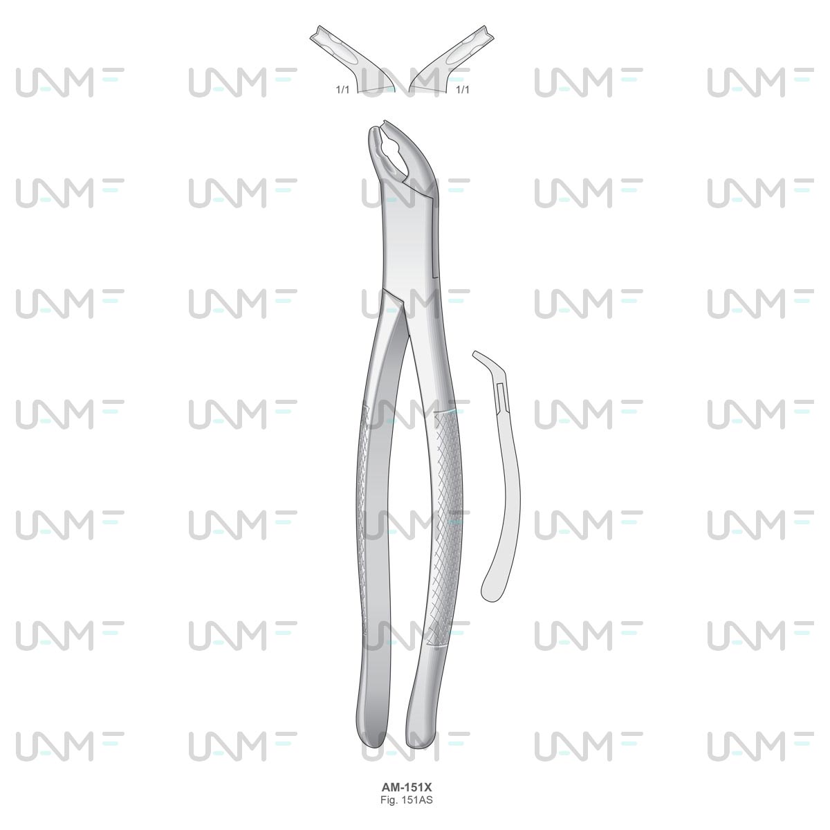 Extraction Forceps,American Pattern