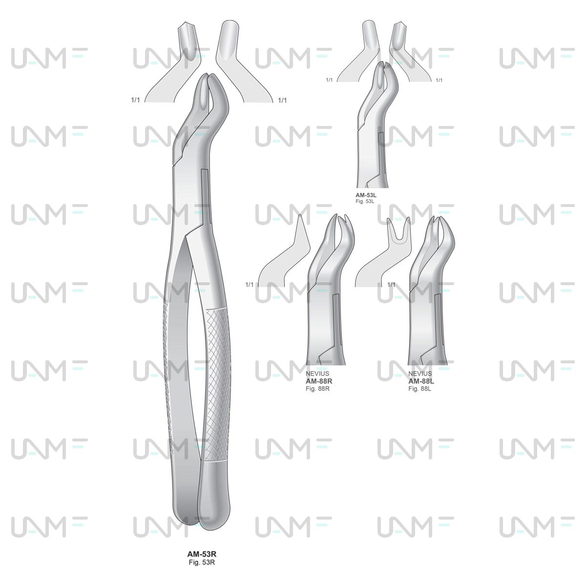 Extraction Forceps,American Pattern