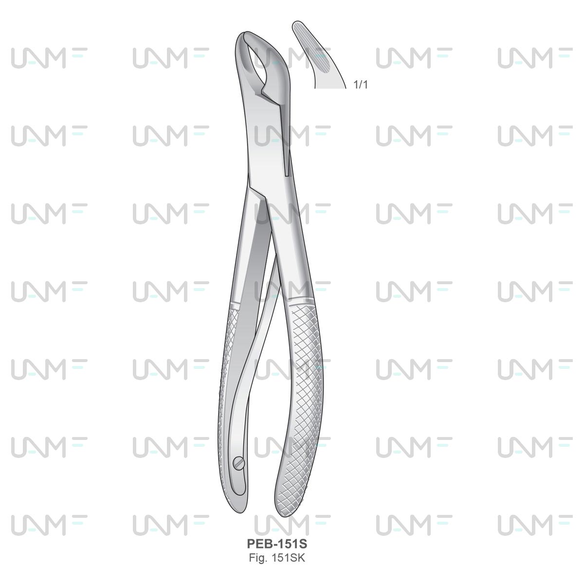 Extracting Forceps for children, American Pattern