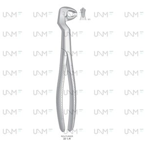 Routurier Extraction Forceps,English Pattern