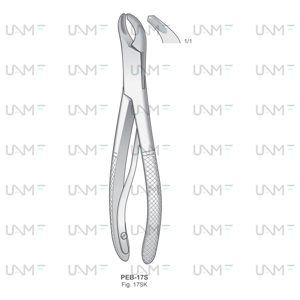 Extracting Forceps for children, American Pattern