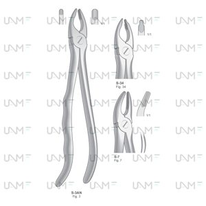 Extraction Forceps,English Pattern