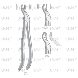 Extraction Forceps,Anatomical Handle